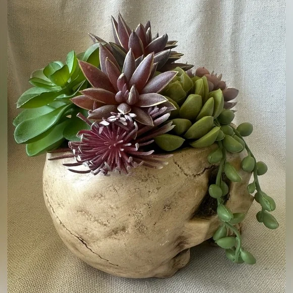 Halloween Succulent Skull Spooky Planter - Picture 6 of 8
